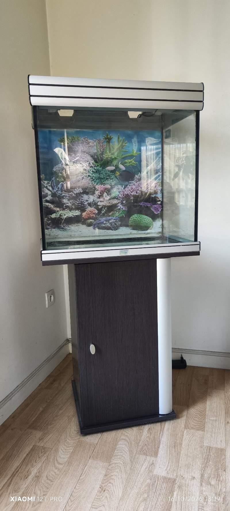 Aquarium 100 litres