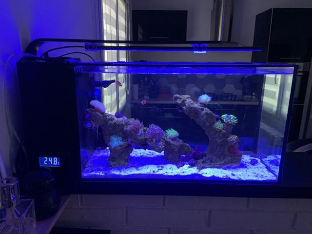 Aquarium complet 70L à Bouleurs
