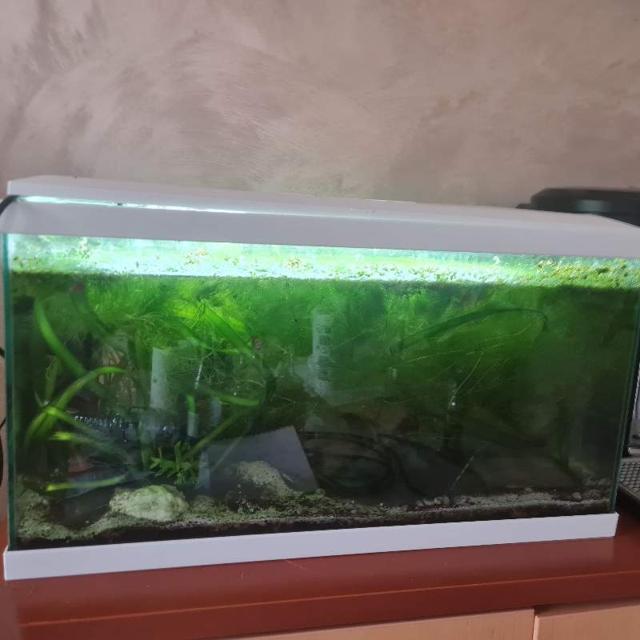 Aquarium vide avec pompe