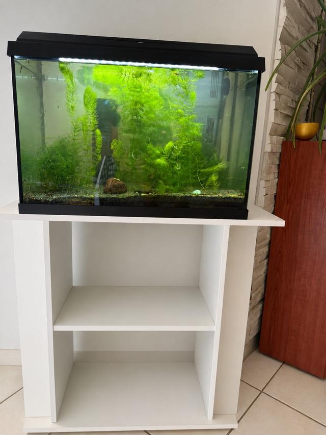 Aquarium complet Juwel Primo 70