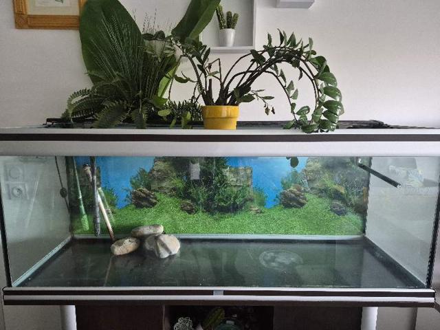 Aquarium 420L